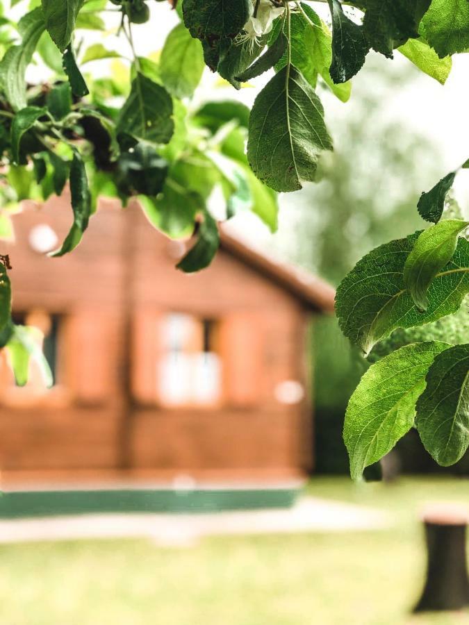 Lake House Farsang Balatonberény Dış mekan fotoğraf