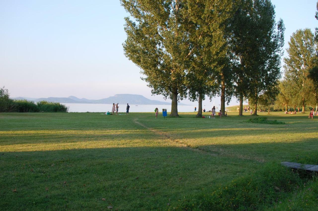 Lake House Farsang Balatonberény Dış mekan fotoğraf